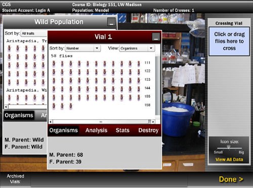 Drosophila Genetics Simulation